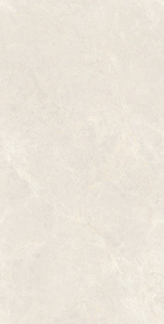 象牙玉蘭產(chǎn)品圖