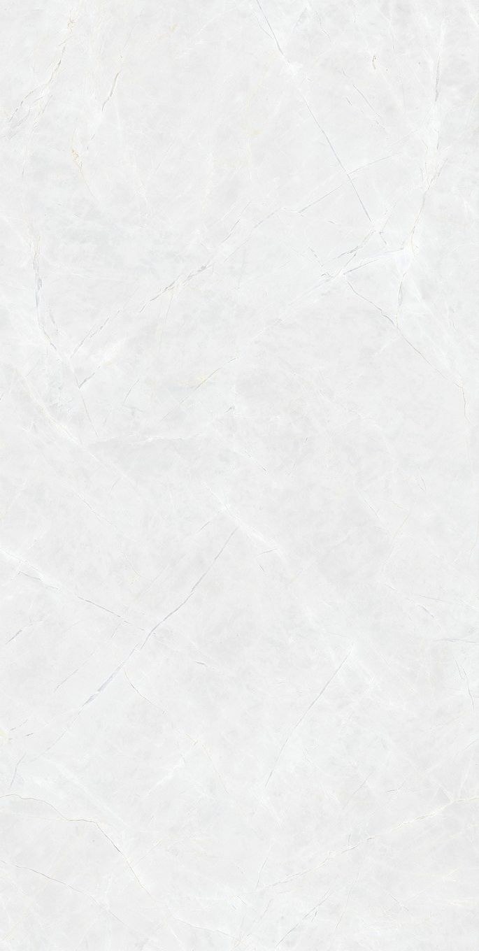 魚肚白產(chǎn)品圖