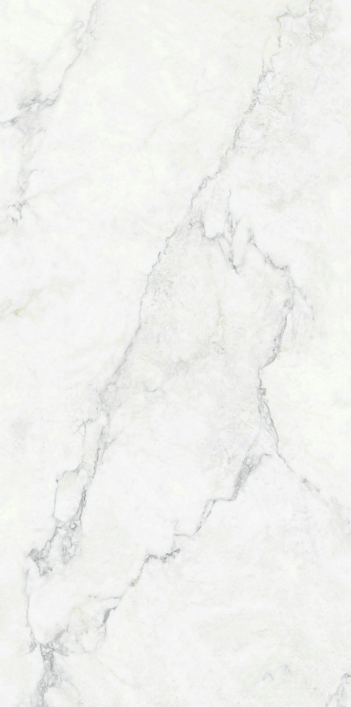 伊麗莎白產品圖