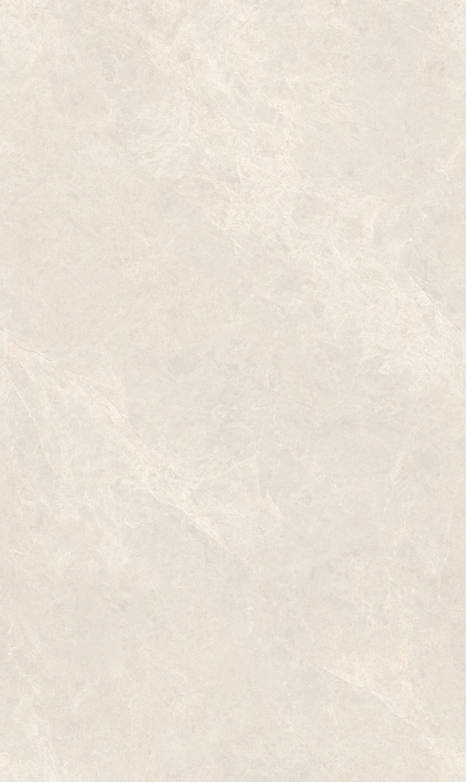 象牙玉蘭產(chǎn)品圖